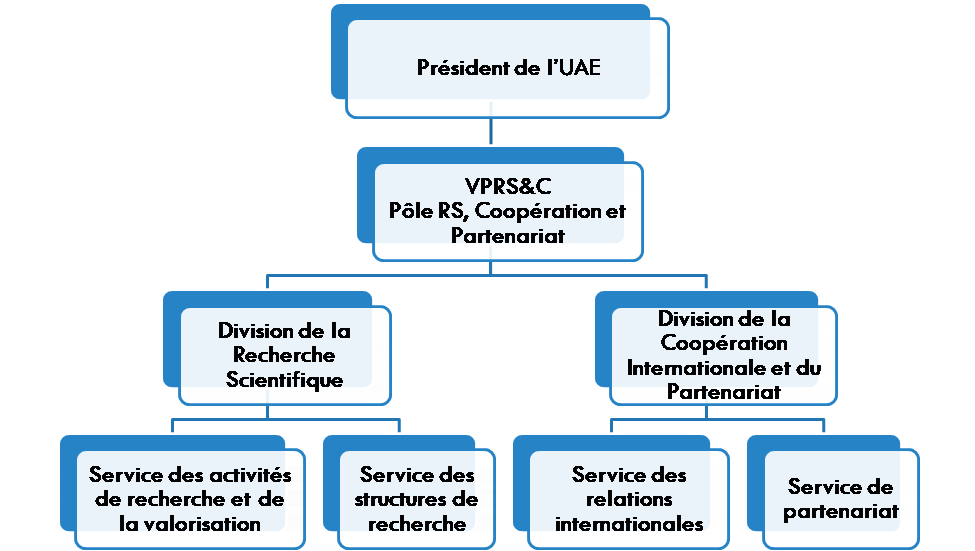 organigramme