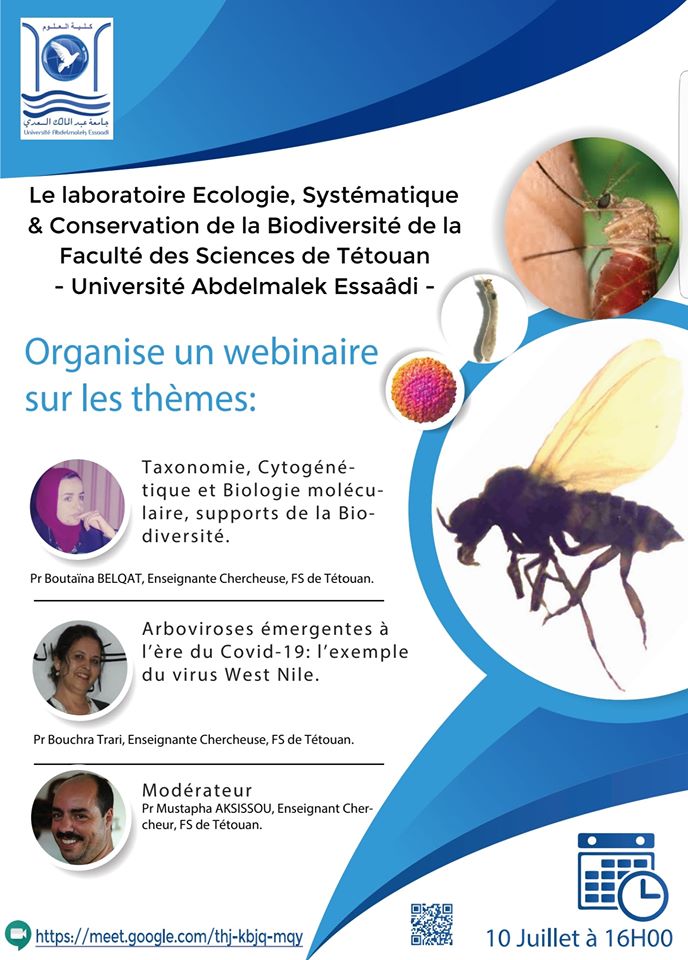 Webinaire de la FS de Tétouan avec Pr Boutaïna BELQAT et Pr Bouchra Trari