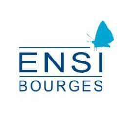 Ecole Nationale Supérieure d'Ingénieurs de Bourges