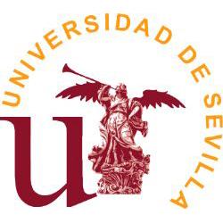 Université de Seville